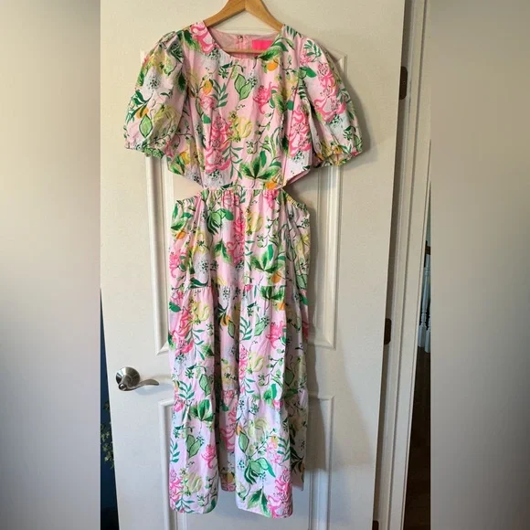 Lilly Pulitzer Lyssa Cotton Midi Dress - Picture 2 of 14